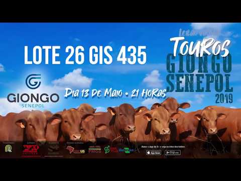 LOTE 26 GIS 435