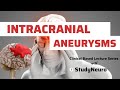 Cerebral aneurysm explained: high-yield lecture for medical students