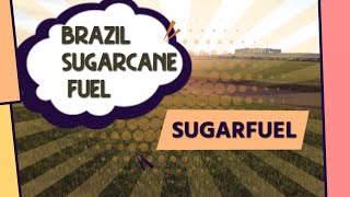 Ethanol as fuel (Brazil sugarcane fuel ⛽)