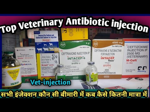 Top Veterinary Antibiotic injection uses,doses||Konsi Disease mein kab kase