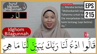 MENGURAI TAJWID SURAH AL BAQARAH AYAT 68 ARTINYA, CARA BACA & CONTOH PENGUCAPANNYA - EPS 215