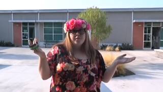 Honor the Code Video 2016-2017