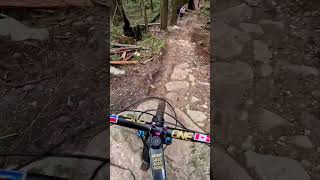 Finding the best line #mtb #downhillmtb #mtbphilippines #trekmtb #northshore