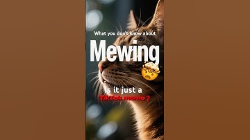 MEWING IS FAKE? (Jawline Transformation Guide)