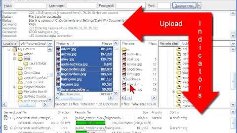 Uploading Photos Using FileZilla