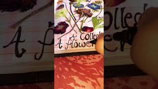 little journal #100k A collection of a flower 🌺.... #viralvideo #100millon #subscribe #the100kplay