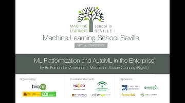 Machine Learning Platformization and AutoML in the Enterprise