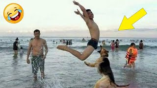 New Funny Dogs And Cats 2024 😍🐶😻 Daily Dose of Laughs #275 by Cuti Animals 1,045 views 3 months ago 8 minutes, 19 seconds