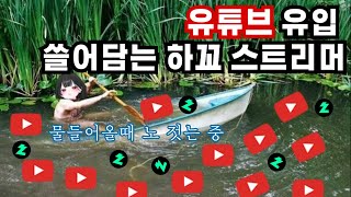 나는 하꼬 스트리머다 ( 그 이후 이야기)