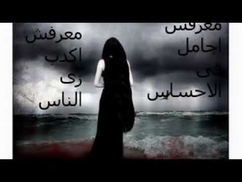 طارق الشيخ موال معرفش أجامل