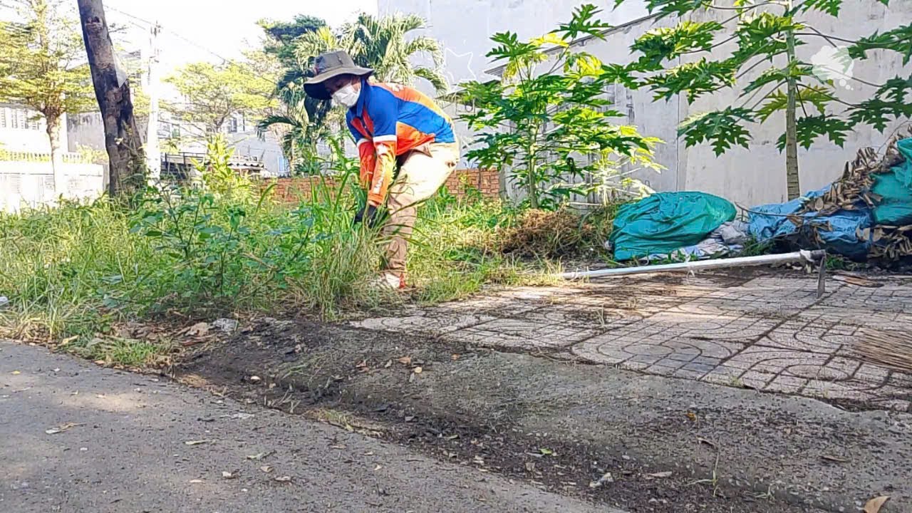 как предотвратить рост сорняков на тротуарах [дни 11/100]