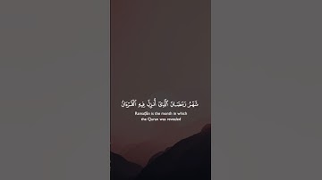 استمع الى تلاوة خاشعة وراحة نفسية #قرآن #القرآن_الكريم #quran #قران_كريم #راحة_نفسية #تلاوة_خاشعة