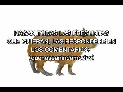 Solo porque estoy aburrida
