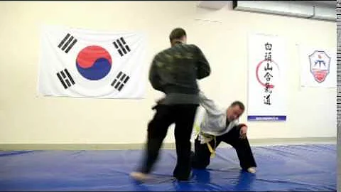 special  police  handcuffs   techniques