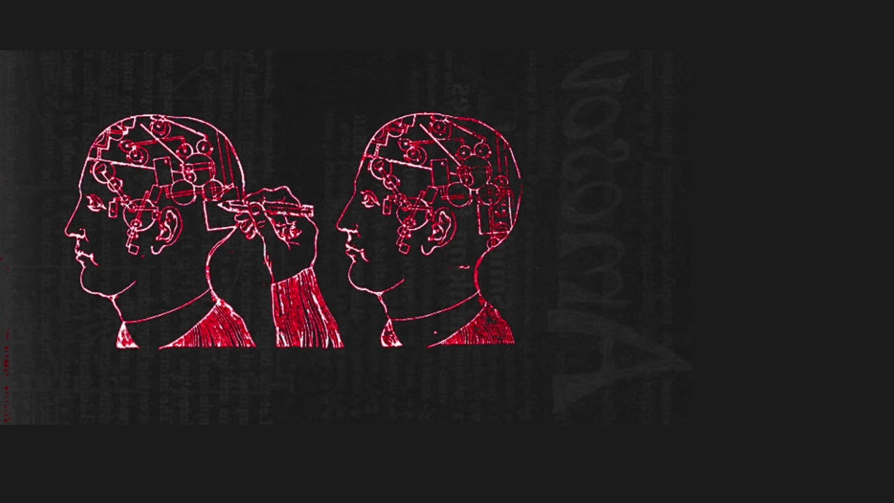 The Tortoise and The Hare: Cybernetics, Evolution and Socialism | Amelia Davenport (Cosmonaut)