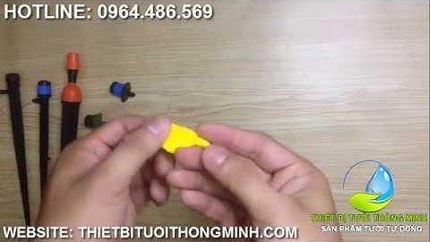 Hướng dẫn lắp cây đục lỗ ống mềm PE16mm tưới cây tự động