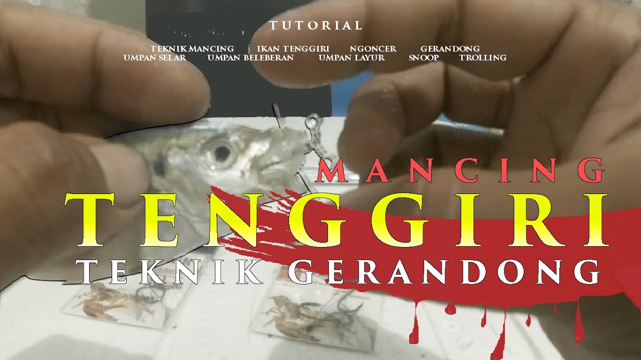 ❗ TUTORIAL ❗  Teknik Mancing Tenggiri Part 1 | Gerandong