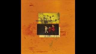 Basement - Whole