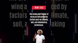 Uncorking Surprising Wine Facts 🍷 | Cheers to Hidden Grape Secrets! #winefacts