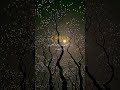 Soothing Quran Tilawat That Will Touch Your Soul | Peaceful Islamic Shorts #shorts  #islamicvideos