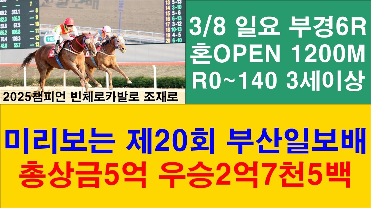 미리보는 제20회 부산일보배#경마에상#박달재