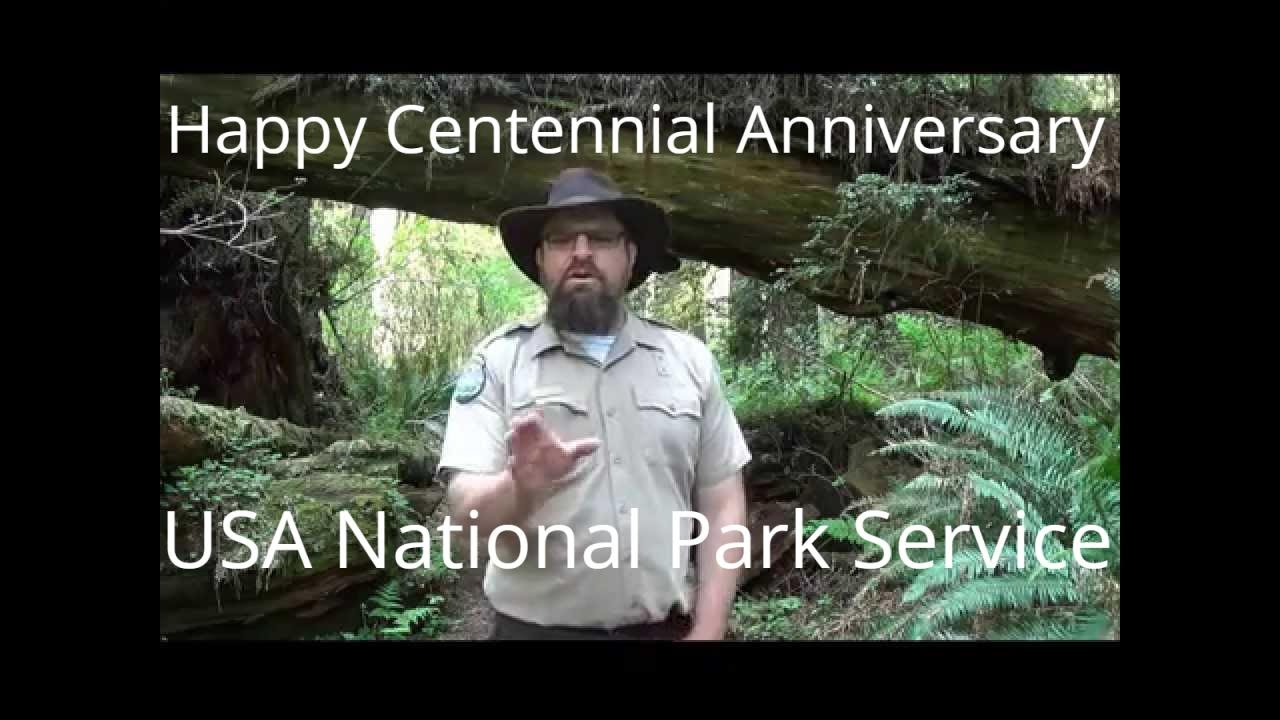 The Official BioBlitz Dance Tutorial