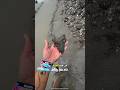 وجدت أحفورة ثمينة على الشاطئ Shorts وجدت أحفورة ثمينة على الشاطئ Shorts
