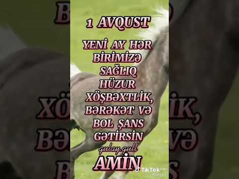 1 AVQUST XOŞ GƏLDİN