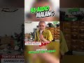 CROSSOVER KALAP‼️, Rakitan 35 Audio Malang, 35 Pusat, Sound Ombro Malang Selatan