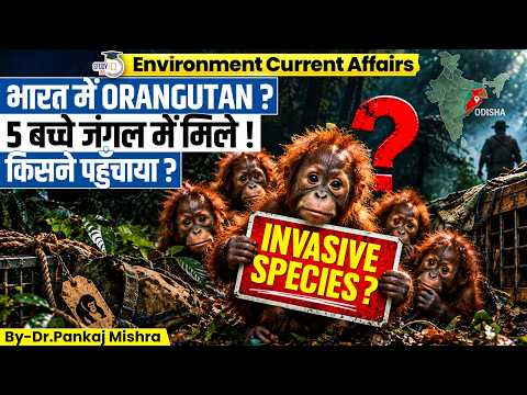 Odisha Orangutan Mystery! क्या खुला Wildlife Trafficking का बड़ा राज? | Dr Pankaj Mishra