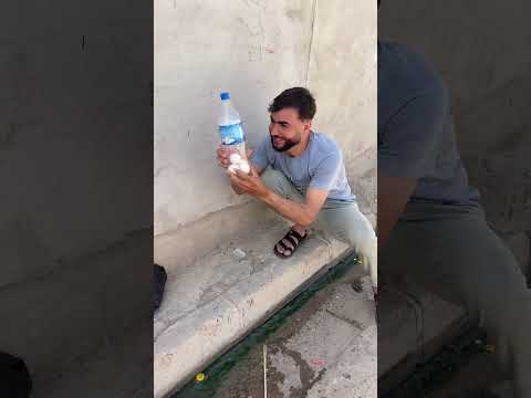 ننس اشون كدر يدخل البيضات بل بطل