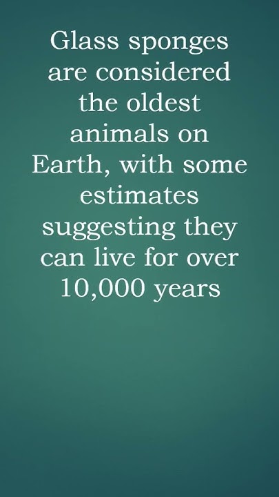 which-animal-has-the-longest-life-span-generalnowledge-gk-animals