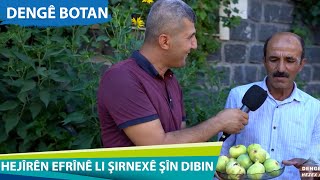 HEJÎRÊN EFRÎNÊ LI ŞIRNEXÊ ŞÎN DIBIN - DENGE BOTAN