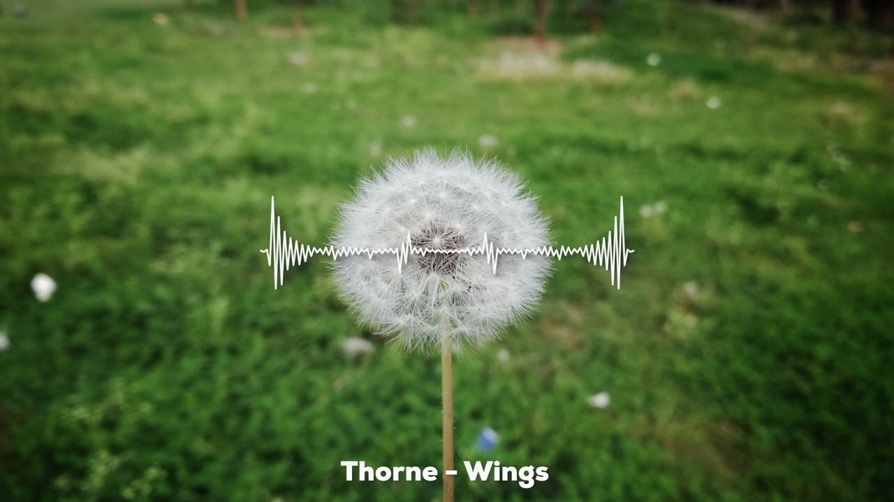 Alan Walker, Sasha Alex Sloan - Hero (instrumental)