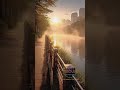 Morning Calm in Seoul 🌿 Gentle River, Breeze &amp; Fog | Lo-Fi Focus Ambience