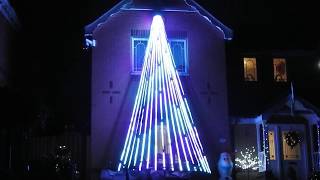 Forest Town - Mega Tree - let it go sequence