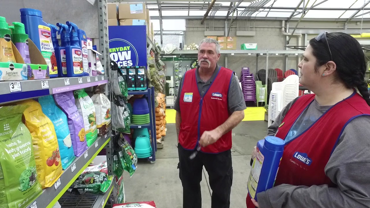 Lowe's Celebrates Seasonal Success Stories YouTube