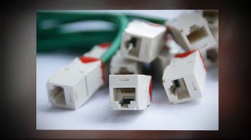 Custom Software Development Company Dallas