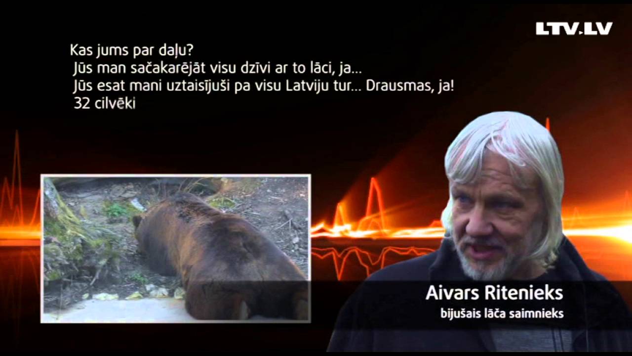 Lāča Bargā liktenis. Ķepa uz sirds