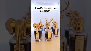 Most Complimented Best Perfumes In my Collection #bestperfumes #myfragrancecollection #smellgood