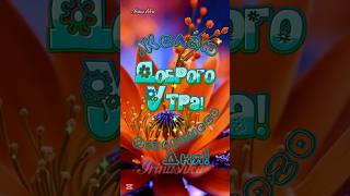 ЖЕЛАЮ ВАМ ДОБРОГО УТРА И ОТЛИЧНОГО ДНЯ!#доброеутро #пожелания #длявас #shortsvideo #музадуши