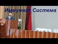 Иммунная система Мифы и реальность - Компания NSP