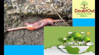 Characteristics Of Living Organisms Biology NEET screenshot 3