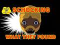 What Happens If Your Mii Sneaks into Another Mii's Room in Tomodachi Life?