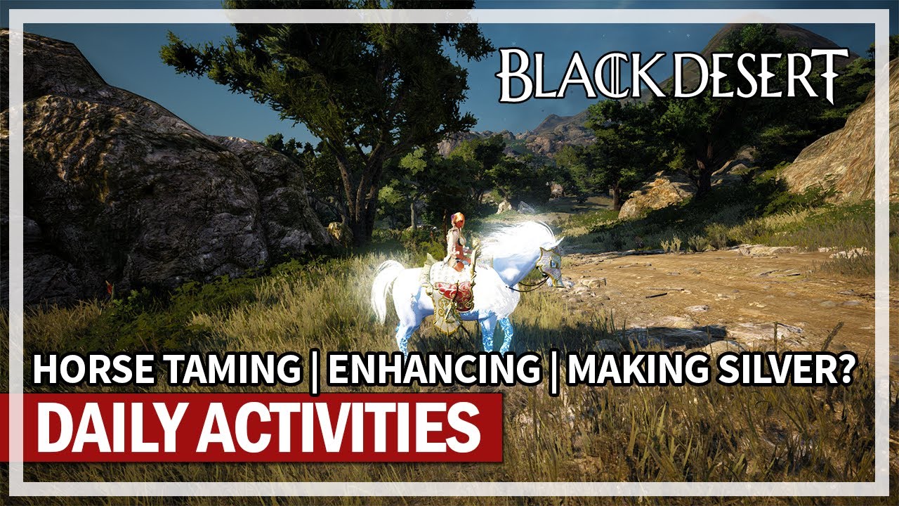 Daily Activities in BDO & Horse Taming & Enhancing Black Desert YouTube