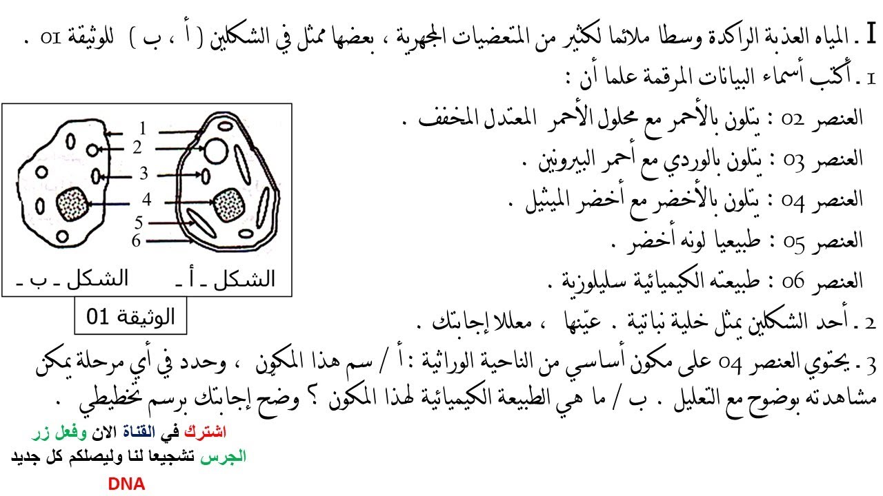 تمارين حول الخلية وحدة بنيوية للسنة الثانية ثانوي