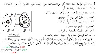 تمارين حول الخلية وحدة بنيوية للسنة الثانية ثانوي