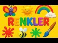RENKLERİ ÖĞRENELİM | Kuzu Zuzu İle Renkleri Öğreniyorum✨️