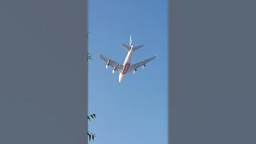 البراحة دبي 