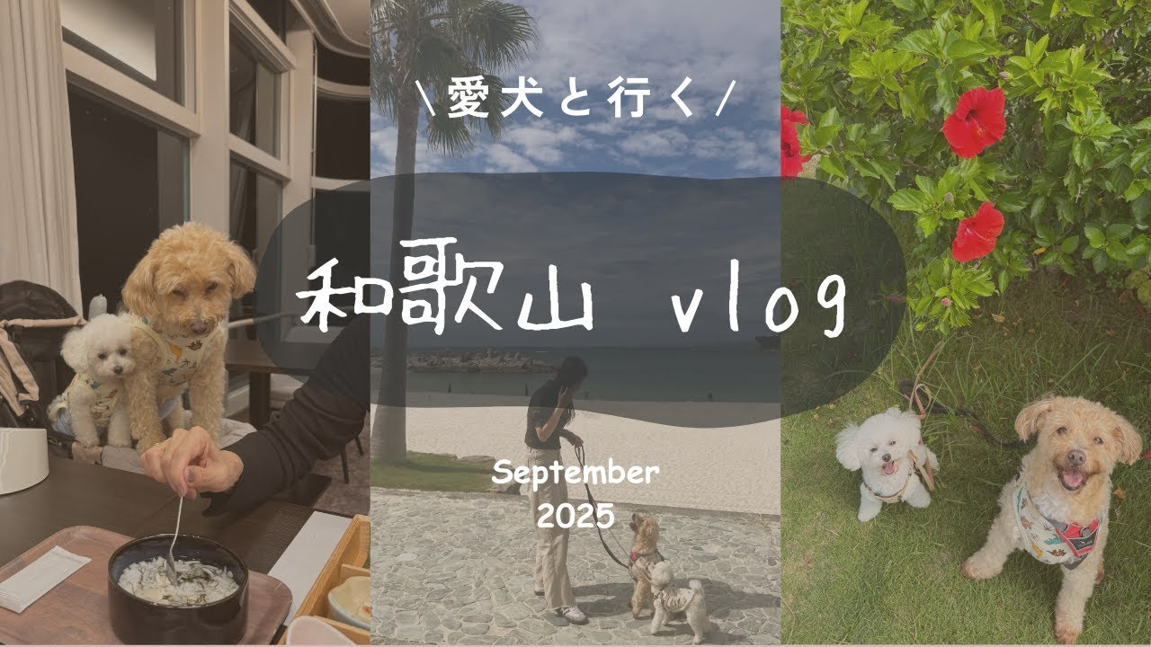 【愛犬と行く】和歌山旅行1泊2日！〜1日目Vlog〜